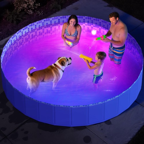 Foldable kiddie dog pool - kiddie, with